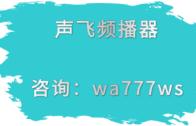 声飞频播器无人直播打造个人IP需要掌握哪些技巧？